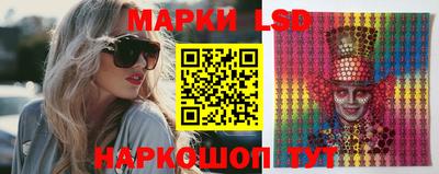 гидропоника Котовск