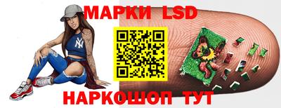 гидропоника Котовск