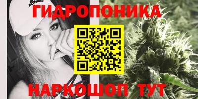 крисы Кохма