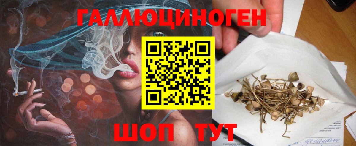 Псилоцибиновые грибы мицелий Белгород