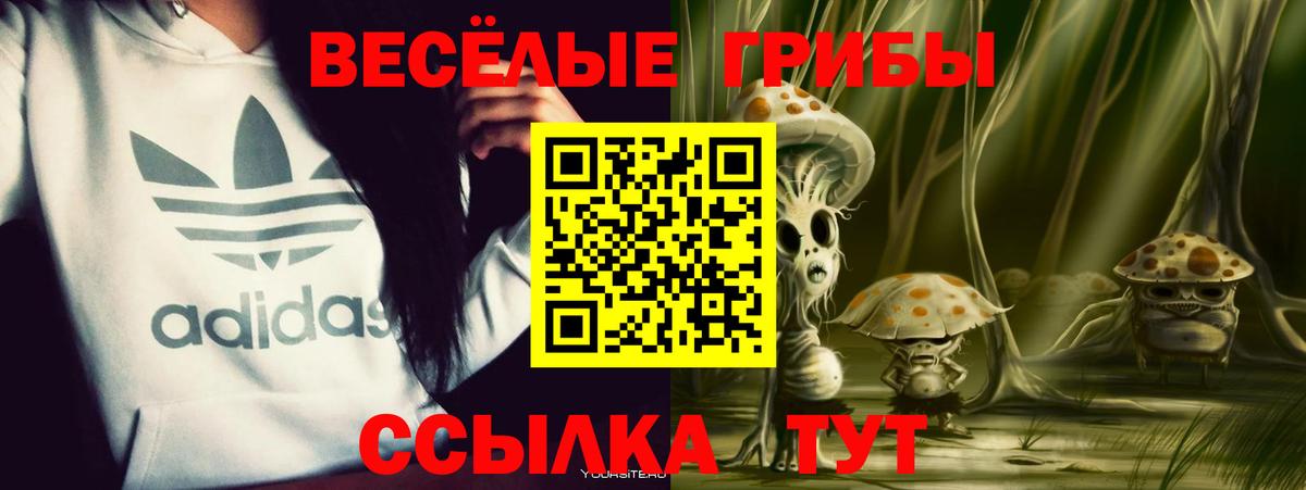 ГАШ  LSD-25  МАРИХУАНА  Белгород  Вход с VPN  Меф кристаллы 