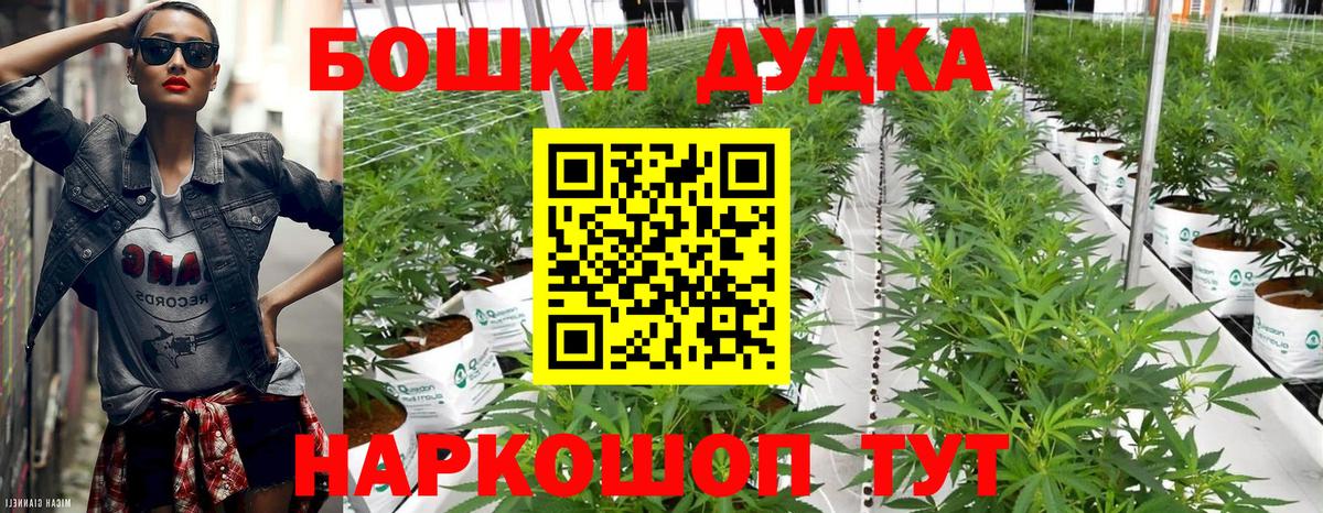 Конопля гибрид Белгород